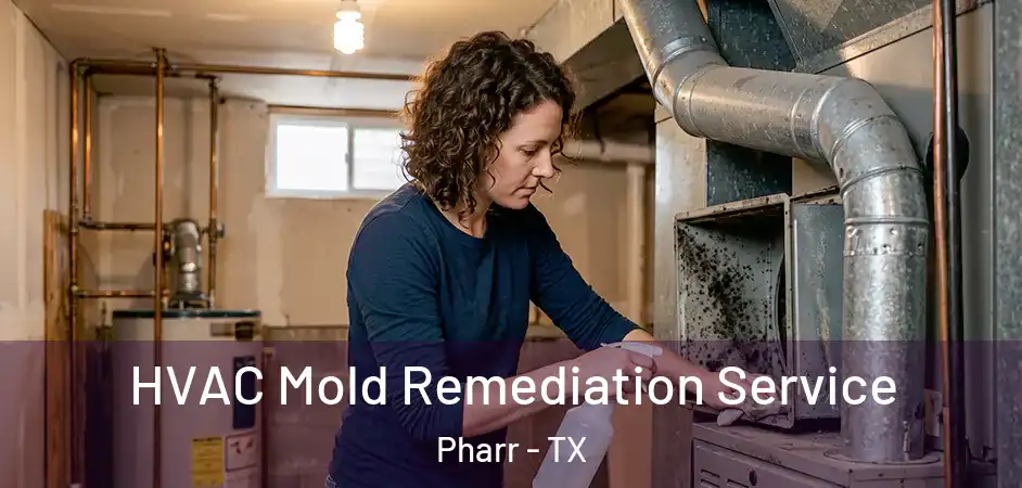  HVAC Mold Remediation Service Pharr - TX