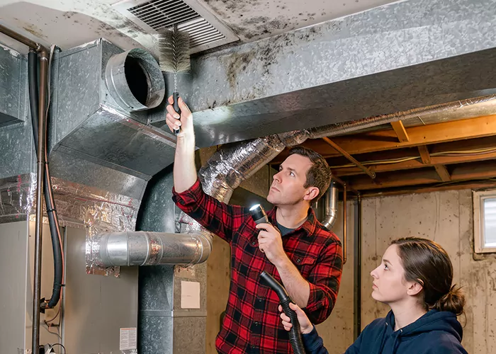 Premier HVAC Mold Remediation Company in Pharr